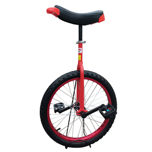 2023浩隆独轮车脚踏车儿童自行车单车平衡单轮车铝合金圈彩圈