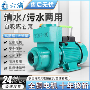 ZDK自吸泵220V家用大流量清水泵抽水机农用污水化粪池排污离心泵
