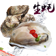 新鲜生蚝鲜活牡蛎即食，约5.0斤150-200g个海鲜生蚝鲜活