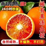 四川新鲜水果甄工塔罗科血橙孕妇水果应季橙子，现摘玫瑰香血橙九斤