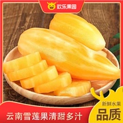 云南雪莲果黄心4.5斤装  新鲜水果清甜雪莲果产地直发整箱