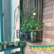铁艺阳台栏杆花架护栏悬挂花盆植物架户外壁挂窗台置物架