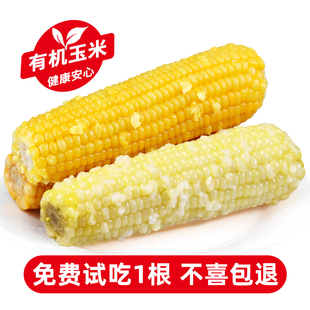 谷美优品新鲜白糯玉米非东北肥真空，装减加热即食黄黏有机玉米粗粮