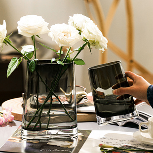 客厅花瓶摆件高级感简约创意玻璃花瓶，透明水养插花鲜花装饰ins风