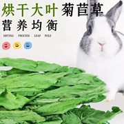 23宠物兔烘干菊苣草兔子干草龙猫豚鼠长肉增肥高蛋白粮食净重500g