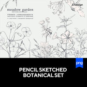 手绘铅笔素描线艺术植物花卉草本元素产品包装素材 免抠PNG格式