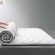 床垫软垫家用宿舍床褥子，学生单人租房专用加厚榻榻米垫被地舖夏季
