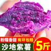紫罗兰沙地紫薯新鲜农家山芋板栗红薯蜜薯番薯地瓜减脂蔬菜10