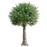 仿真大橄榄h树假橄榄树造景大型植物仿真橄榄树许愿树室内外