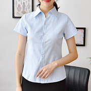 女士浅蓝斜纹短袖衬衫，v领职业装工装大码收腰棉面试上班白寸