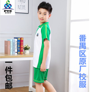 番禺区小学生校服绿色夏装，一字领t恤男女，小学生校服运动套装