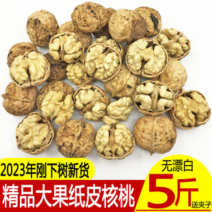 核桃2023年新货核桃薄皮云南野生老树大山黑桃孕妇纸皮核桃5斤装