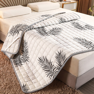 夏季抗菌床垫软垫家用薄款单双人床褥垫子防滑可机洗垫被褥子定制