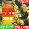 广东正宗龙眼桂圆成熟土蜂蜜，天然野生百花蜜荔枝蜜农家自产无添加