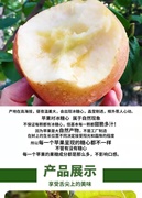云南丽江拉市海苹果，宁蒗泸沽湖，糖盐源心丑苹果6斤装HJOU