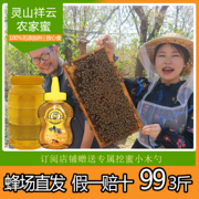 便携蜂蜜槐花蜜枣花蜜荆条蜜纯正三斤装食用孕妇便秘养颜农家自产