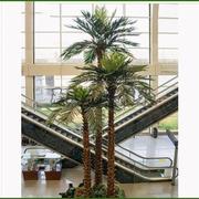 仿真棕榈树大型植物仿真大树室内外酒店造景华盛顿棕榈树