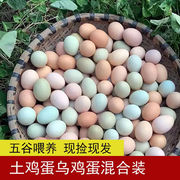农家土鸡蛋散养草鸡蛋20枚新鲜蛋月子蛋笨鸡蛋散养柴鸡蛋整箱