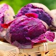 新鲜紫薯板栗红薯地瓜番薯5山芋小香薯蜜薯农家自种沙地10斤