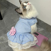 猫咪衣服公主蕾丝裙春秋装薄款宠物可爱布偶蓝猫小幼猫夏季防掉毛