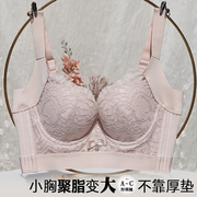 平胸小胸聚拢显大文胸收副乳上托防下垂矫正塑形胸罩调整型内衣女