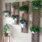墙上挂式装饰壁挂花架子免打孔吊绿萝墙壁花架客厅阳台植物悬挂架