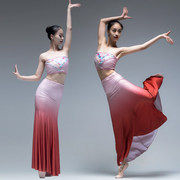 傣族舞蹈服装仙女孔雀舞鱼尾裙成人大摆裙渐变色艺考练习裙子