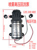 48V高压直流泵100W12伏洗车自吸3208增压喷水隔膜泵24V管道清洗机