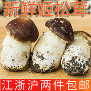 新鲜食用菌姬松茸500g 巴西菇蘑菇赤松茸炒菜烧汤 江浙沪两件