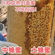 农户自养蜂蜜中蜂蜜，土蜂蜜百花蜜，纯天然适合孕妇老人大人小孩