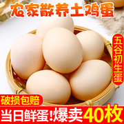农家散养新鲜土鸡蛋正宗草鸡蛋，40枚笨柴鸡蛋孕妇柴鸡蛋整箱禽鸡蛋