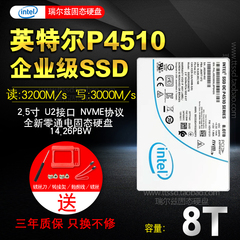 intel  英特尔p4510 8t协议2t硬盘