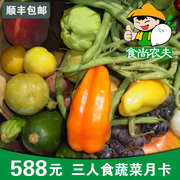 食尚农夫 3人家庭月套餐有机肥生态种植新鲜蔬菜配送8次 广东