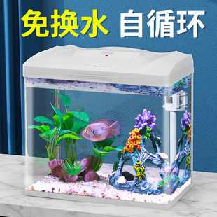 森森鱼缸水族箱生态桌面金鱼缸(金鱼缸)玻璃小型客厅，制氧过滤免换水家用缸