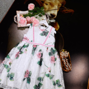 女童夏装玫瑰印花白色蕾丝短袖连衣裙