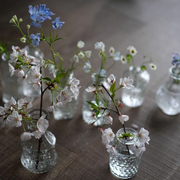 爱上花园室内装饰摆件 复古精致袖珍小玻璃瓶 插花瓶 随单