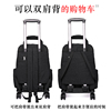 旅行箱女韩版小清新行李箱拉杆，女大学生手提轻便旅行包拉杆包