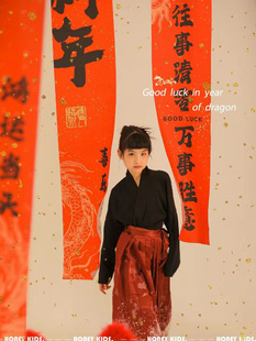 龙年新年主题拍摄写真对联背景，布道具(布道具)中国风，儿童摄影红色挂布灯笼