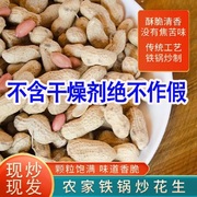 东北原味现炒新鲜晒干生四粒红龙岩花生带壳炒熟新炒红皮衣新货