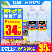 椰树长寿泉天然矿泉水500ml*24瓶整箱特批价小瓶天然饮用水