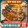 当季新货 营养丰富 健康美味 价格实惠