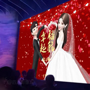 婚礼创意开场 卡通崽崽动画定制小红书视频 婚纱照电子相册MV制作