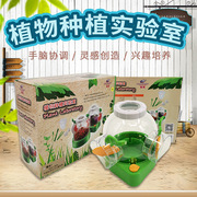 香港怡高 植物实验室 DIY温室植物生长观察器 幼儿园儿童科学玩具