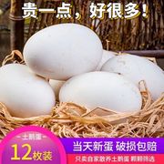 新鲜鹅蛋农家散养土鹅蛋孕妇去胎毒双黄，大鹅蛋(120g~140g)12枚