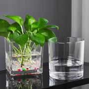 简约小清新玻璃花瓶透明水培，花盆水养绿萝植物，器皿小号富贵竹摆件