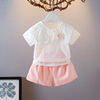 女宝宝两件套装夏季韩版薄款小女孩洋气，短袖短裤棉布女童套装