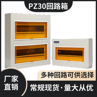 PZ30回路配电箱工程用明装家用空气开关箱暗装强电箱国标电箱总控