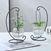 创意铁架水培绿萝玻璃，花瓶容器盆办公室内桌面，绿植现代摆件装饰品