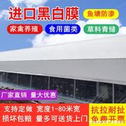 养殖大棚塑料布大棚膜抗老化加厚养殖黑白膜防水布遮阳隔热反光膜