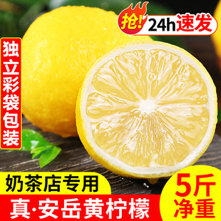 四川安岳黄柠檬(黄柠檬，)新鲜水果奶茶店专用现摘无籽薄皮一级香水甜柠檬青